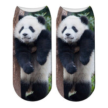 Load image into Gallery viewer, New Fashion 3D Printed Panda